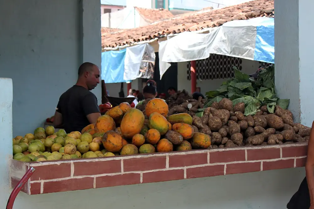 A stall at a Cuban farmers' market, piled high with papayas and root vegetables